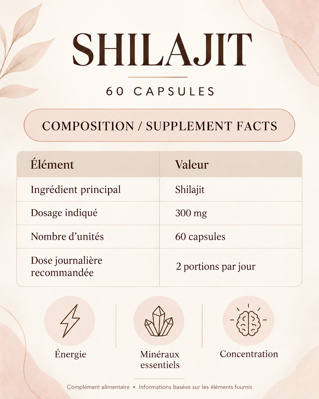Shilajit 300 mg – 60 Capsules